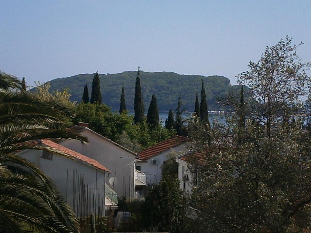 Mijovic Apartments Budva Room photo